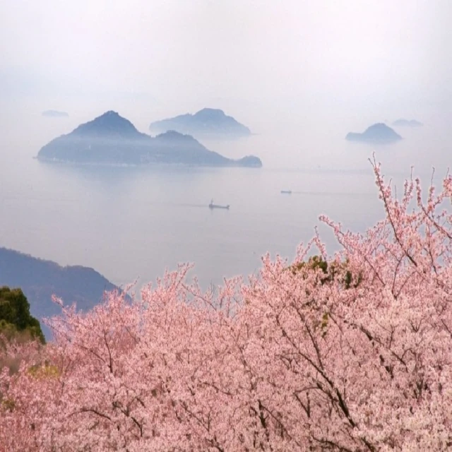 阿波羅 日力銅綠60吋燈扇-遙控款AP25071G 歷史價格詳細信息