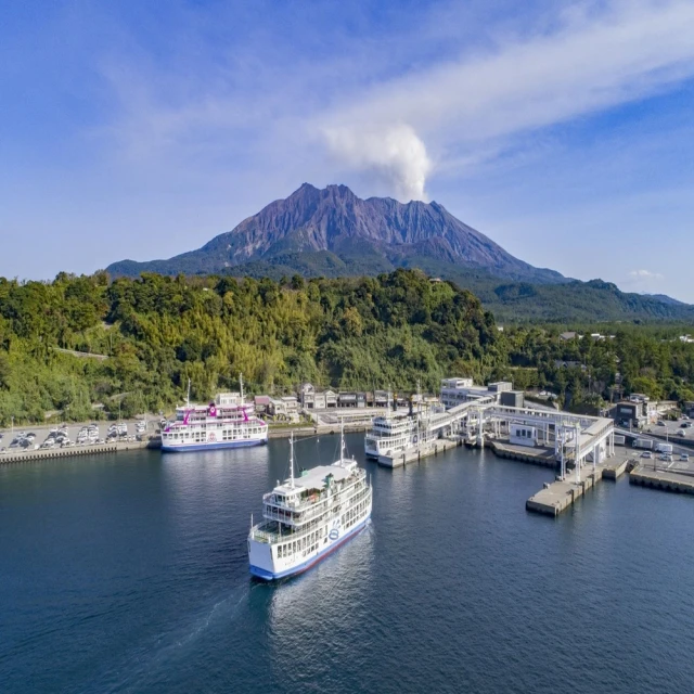 鴻崎工業級多功能迷你尖嘴鉗5寸手工飾品DIY小鉗子6寸家用電工鉗[滿300出貨] 歷史價格詳細信息