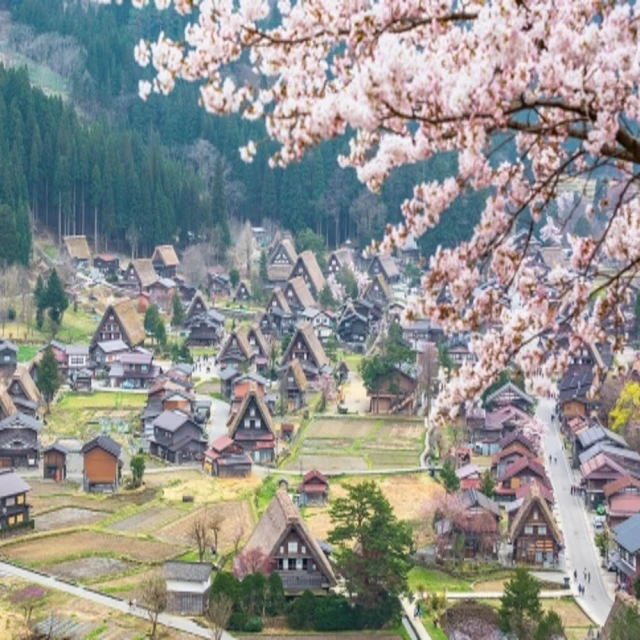 【喜鴻假期】【花季荷比法１０日】庫肯霍夫、三城遊船、羅浮宮、凡爾賽宮導覽、米其林、法式下午茶 歷史價格詳細信息