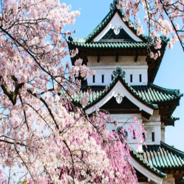 【喜鴻假期】【東北藏王樹冰７日】草莓吃到飽、銀山溫泉街、超萌狐狸村、大內宿合掌村、淺草觀音寺 歷史價格詳細信息