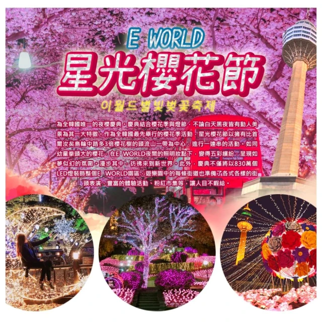 航向真情海 亞利希歐波尼 第58屆坎城影展競賽片 全新未拆封 正版DVD 歷史價格詳細信息