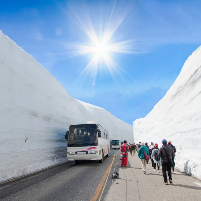 立山雪峰天然水500ml《日藥本舖》 歷史價格詳細信息
