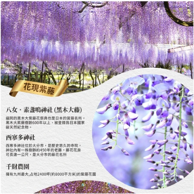 五彩星空遊泳圈加厚成人救生圈大人兒童腋下圈男女亮片泳圈浮圈 歷史價格詳細信息