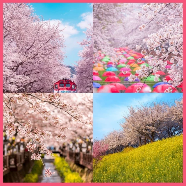 河岸櫻花 950-013 950片拼圖 歷史價格詳細信息