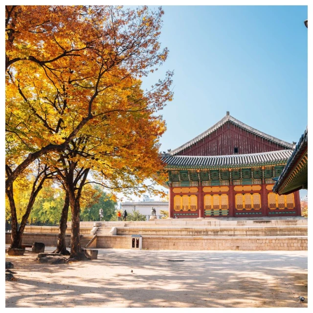 怡遊桌遊我是大i'm the boss中文版休閒聚會卡牌桌面聚會遊戲 歷史價格詳細信息