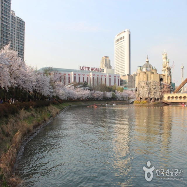 【喜鴻假期】【不進人蔘保．蔚藍濟州５天】海水汗蒸幕、史努比庭園、羊駝牧場、網美海景咖啡廳、海鮮鍋 歷史價格詳細信息