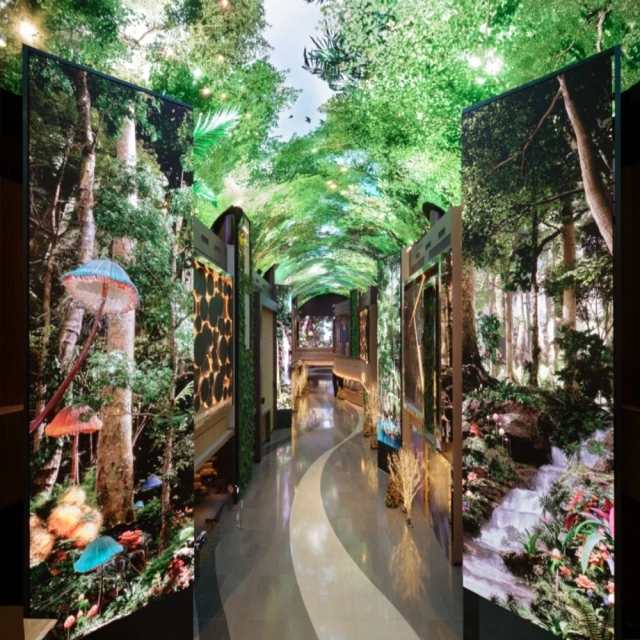 世界人口日大銅章！精美黃紫一對！早期名家精品！中間那個小娃娃6868 歷史價格詳細信息