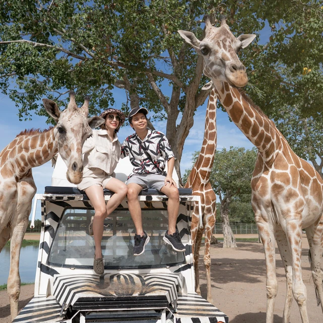 紅泰輸送機專業定做 重載鏈板輸送機定做 歷史價格詳細信息