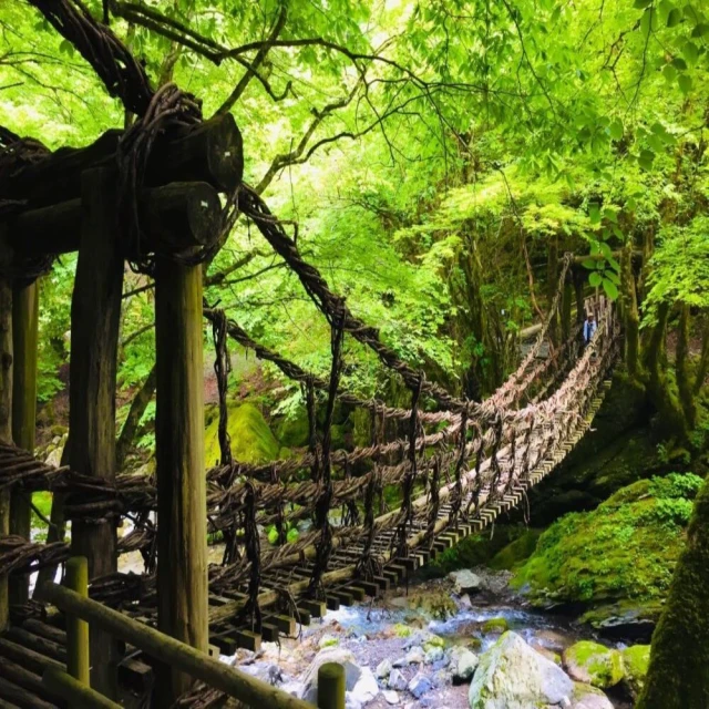 四國，深度休日提案：一張JR PASS玩到底！香川、愛媛、高知、德島，行程╳交通╳......【城邦讀書花園】 歷史價格詳細信息