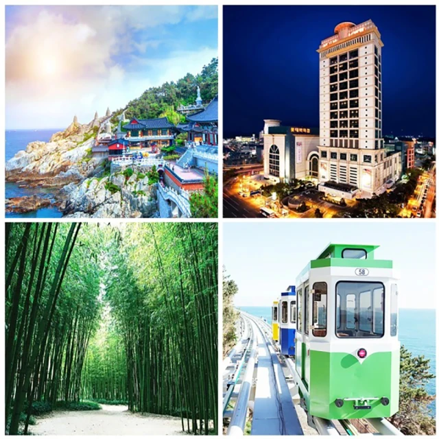 五格一次性餐盒PP高蓋正方形塑料外賣加厚帶蓋打包盒150套/箱 歷史價格詳細信息