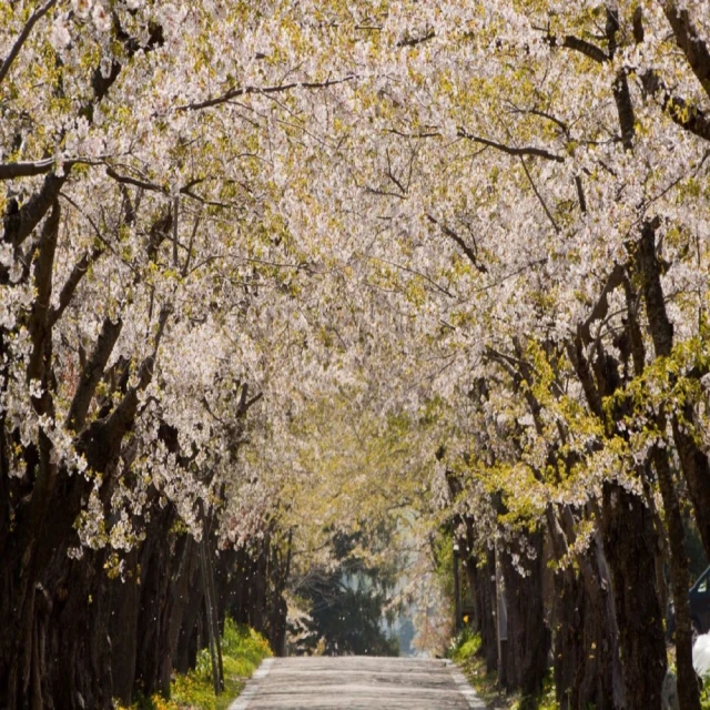 宇星百變創意系列10032-13181電動編程繪圖機益智裝拼小顆粒積木 歷史價格詳細信息