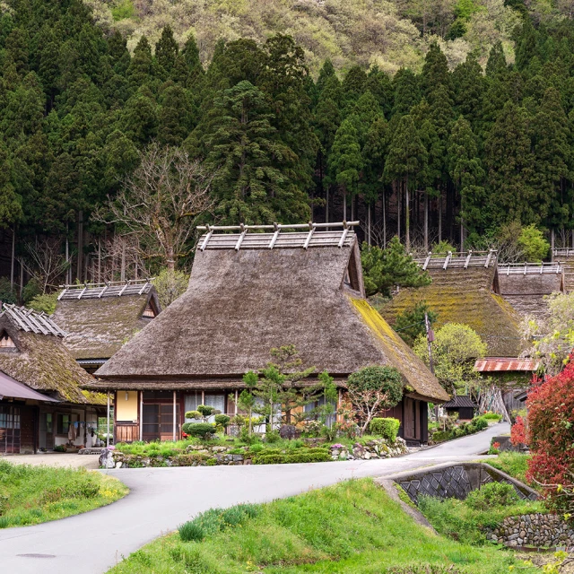 天喜高硼矽玻璃過濾打奶泡器 家用手動打奶器帶刻度咖啡壺 歷史價格詳細信息