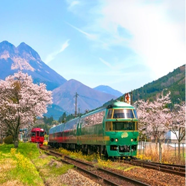 5陸川鐵鍋雙耳單柄圓底無塗層不粘鍋老式生鐵鍋無塗層不生 歷史價格詳細信息