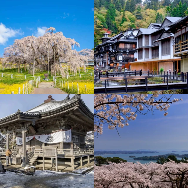 東津萌米穗姬系列一卡通 代銷 歷史價格詳細信息