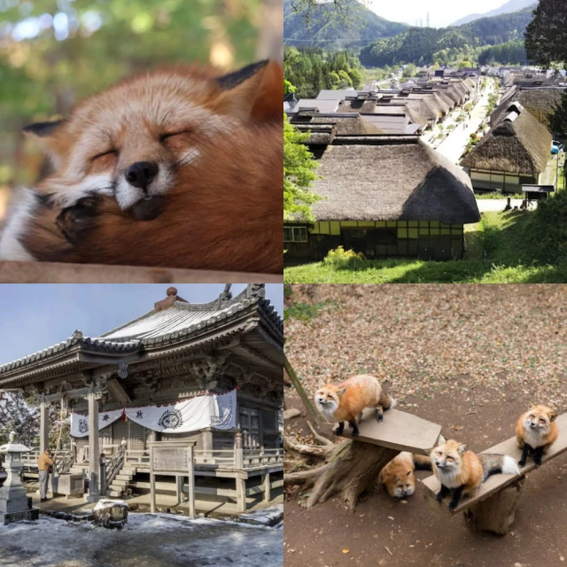 東津萌米穗姬系列一卡通 代銷 歷史價格詳細信息