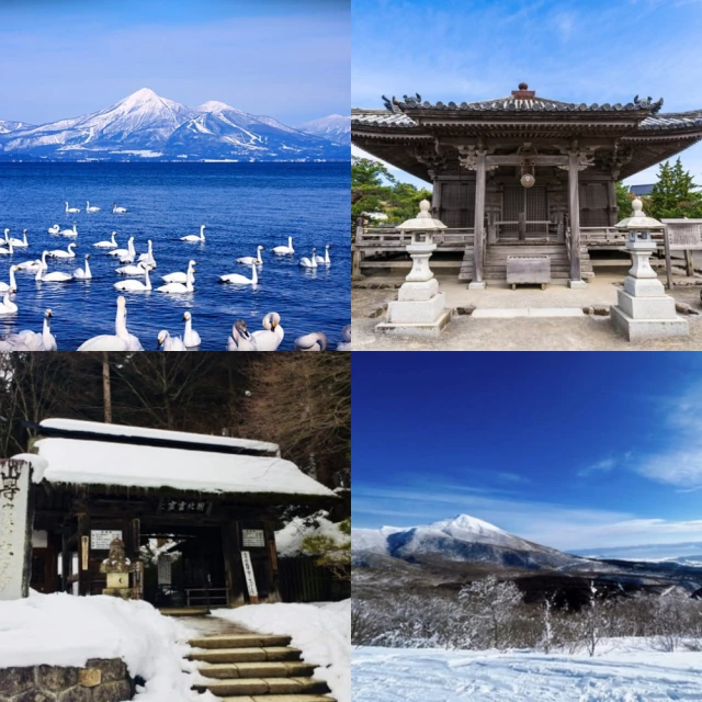 狐狸姬，吉橙彈力美背路跑運動背心(單上衣M-2XL) 歷史價格詳細信息