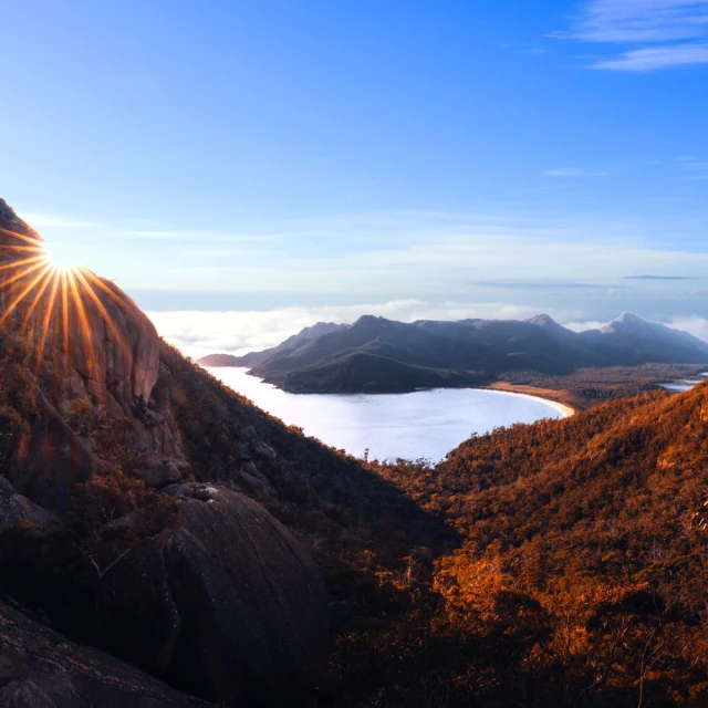 天使馬搖馬兒童木馬搖搖馬嬰兒寶寶溜溜車二合一周歲玩具小搖馬 歷史價格詳細信息