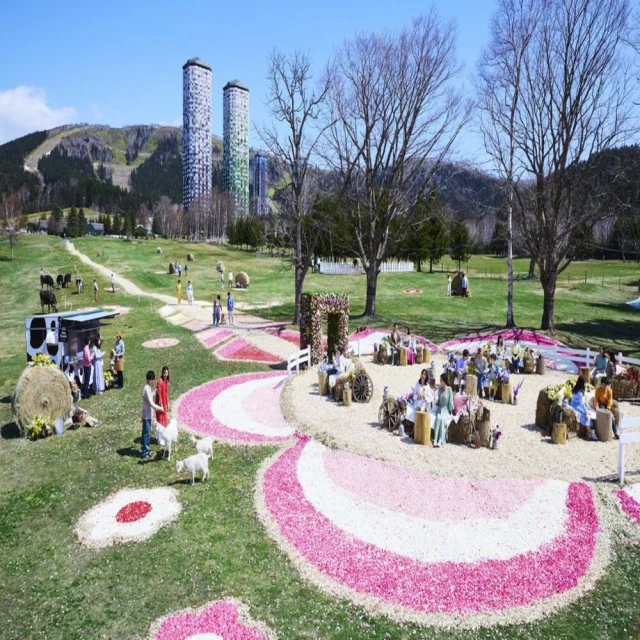 喜多 浪漫假期 淑女免洗褲 5天4夜用 (M/L/XL號) (4入/包)【杏一】 歷史價格詳細信息