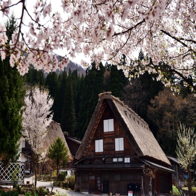 北陸高岡名師 畠春齋 造˙羽付真形˙斑銅蓋老鐵壺 (935) 歷史價格詳細信息