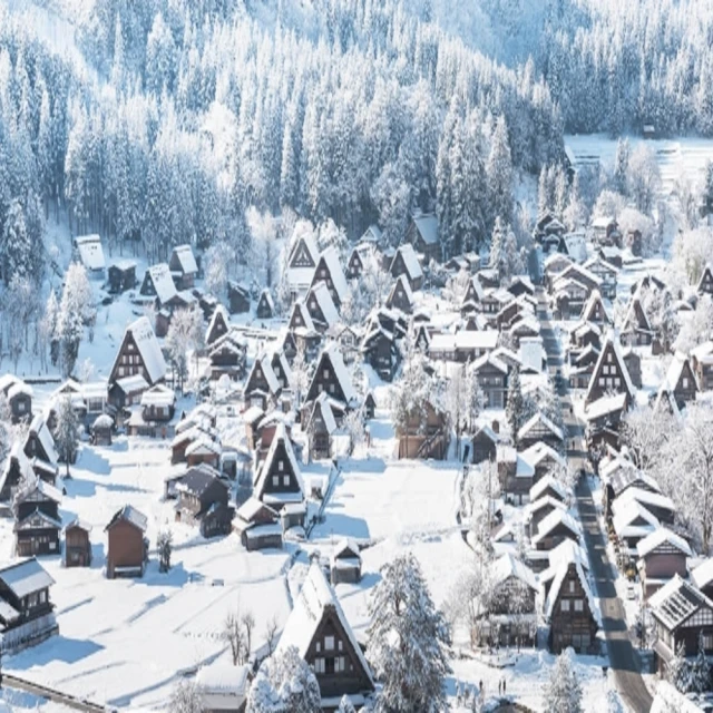 【園藝城堡】 6吋吊盆組(含吊勾)  6寸彩色吊盆 塑膠花盆 圓盆 塑膠盆 彩色盆 6吋盆 歷史價格詳細信息