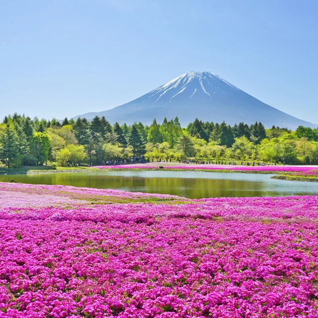 北陸高岡名師 畠春齋 造˙羽付真形˙斑銅蓋老鐵壺 (935) 歷史價格詳細信息