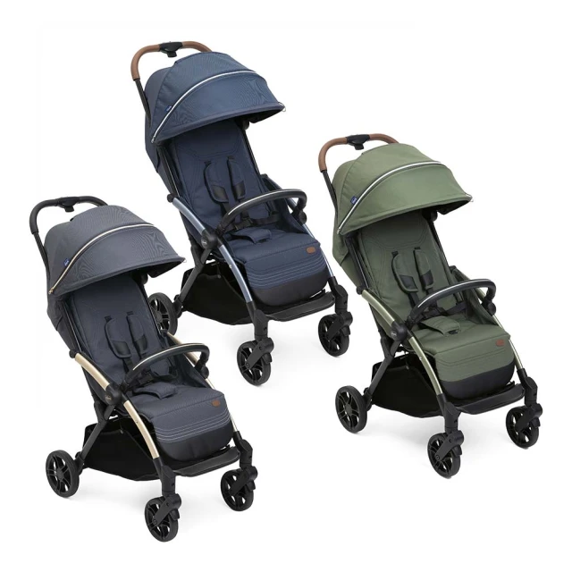 chicco-Goody XPlus魔術瞬收手推車+尿布處理器(異味密封) 歷史價格詳細信息