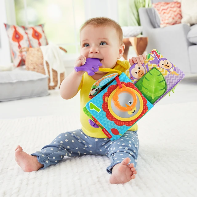 【Fisher-Price 費雪】可愛動物布書 歷史價格詳細信息