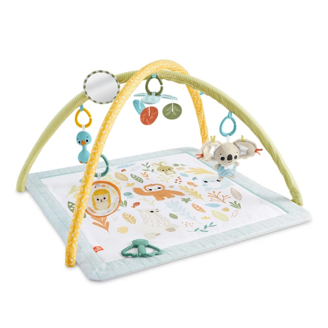 【Fisher-Price 費雪】感官訓練可愛動物健身器 歷史價格詳細信息