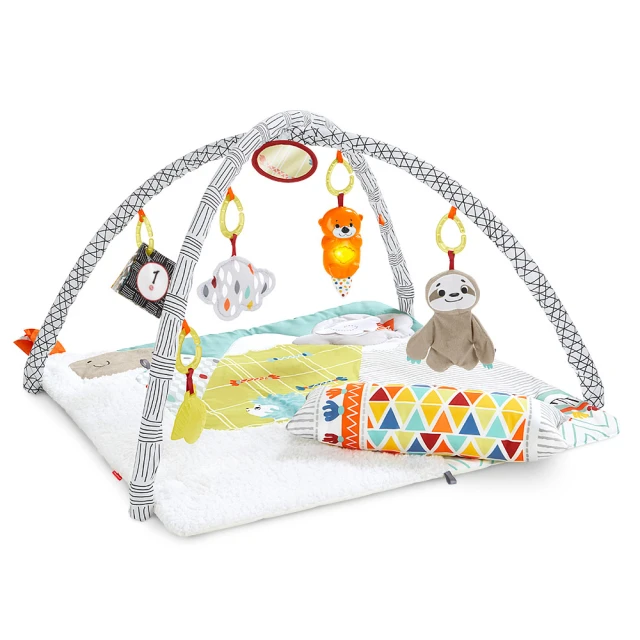 【Fisher-Price 費雪】可愛感官小刺蝟 歷史價格詳細信息