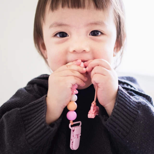 KellysWorld凱莉的異想世界 奶嘴咬一口-香草奶嘴收納盒-灰藍 歷史價格詳細信息