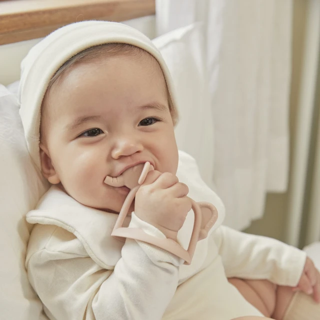 Tgm 白金矽膠固齒器(手腕穿握型含收納盒) Step1 / Step2 韓國進口 Baby House 歷史價格詳細信息