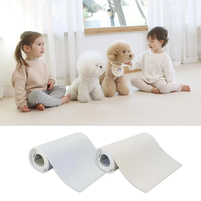 ALZiPmat 韓國 ECO系列 經典四折摺疊地墊(五色可選)【YODEE優迪嚴選】 歷史價格詳細信息