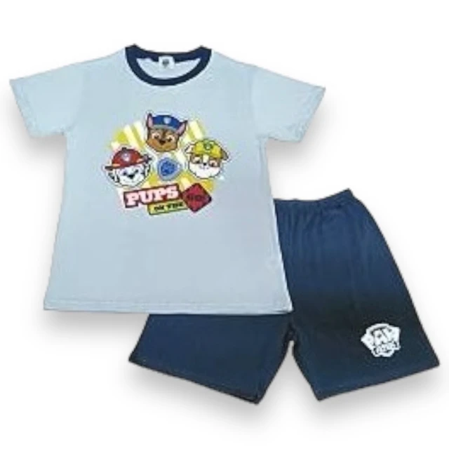 【paw patrol 汪汪隊立大功】正版授權 兒童手套 保暖手套 防寒手套 汪汪隊 阿奇 毛毛 天天(多種角色可選) 歷史價格詳細信息