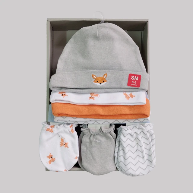 Hudson Baby 彌月禮盒-毛毯+安撫玩偶 歷史價格詳細信息