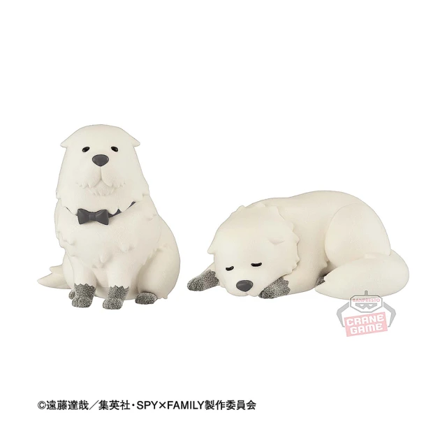 間諜家家酒 SPY×FAMILY 童鞋 後踩洞洞鞋 湖水藍/SFWP39905/K Shoes Plaza 歷史價格詳細信息