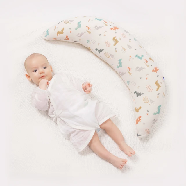 【Gennies 奇妮】安撫枕專用套-不含枕芯(恐龍樂園 淘氣米) 歷史價格詳細信息