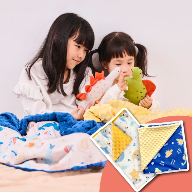 【PeNi 培婗】3D超透氣嬰幼兒0-12歲成長枕 兒童幼兒園午睡枕頭(無毒無螢光劑2片內芯可調高度) 歷史價格詳細信息