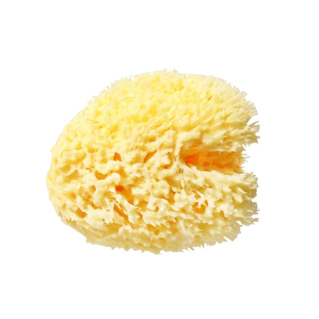 Bellini Babu義大利地中海天然-蜂巢海綿(款式SA16) 寶寶沐浴 F-SA16 歷史價格詳細信息