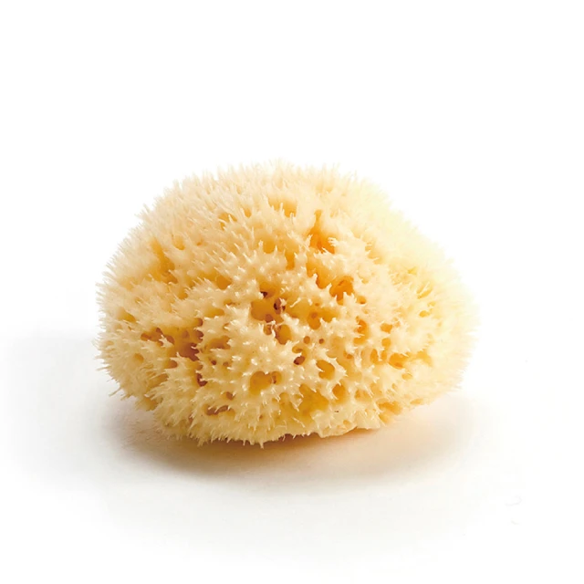 義大利Bellini地中海天然-絲綢海綿(FD7) 寶寶沐浴 深海手工採集 小丁婦幼 歷史價格詳細信息