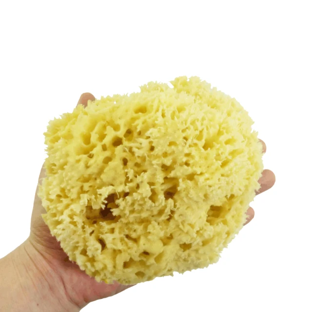 【Angel】希臘女神清新氣質珍珠桂冠造型項鍊耳環套組(白金色耳環項鍊套組) 歷史價格詳細信息