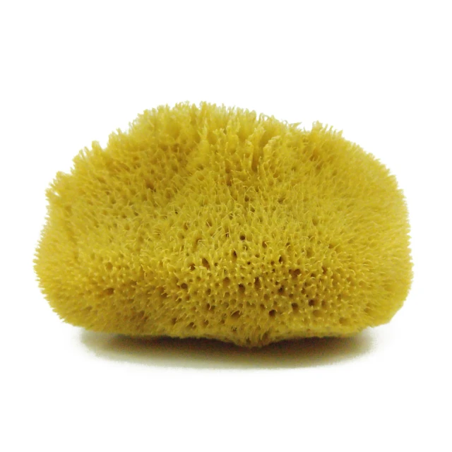 Mermaid and Dolphin Themed V2 ID Badge Holder Retractable Reel 24&quot; Slide On Clip 歷史價格詳細信息