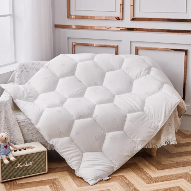 3M 大童防蹣枕心 -附純棉枕套 (9-13歲適用) 2入 歷史價格詳細信息