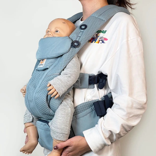 ERGOBABY 背巾收納袋+純棉磨牙墊圍兜-贈品-請勿直接下單 歷史價格詳細信息