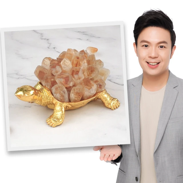 【命運好好玩】湯鎮瑋-招財麒麟黃銅聚寶盆 歷史價格詳細信息