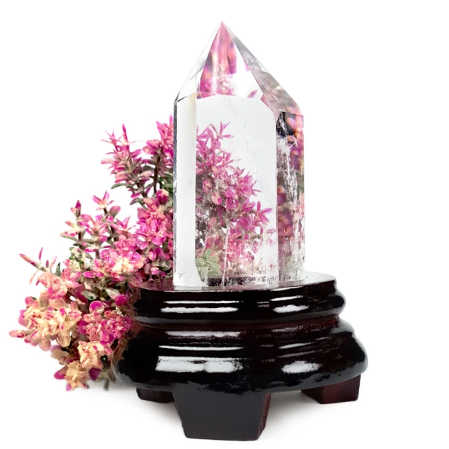 DK496【東京成人av】中文 / すぽコン！&sim;SPORTS WEAR-COMPLEX&sim; 下巻 歷史價格詳細信息