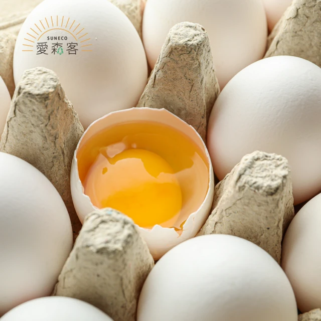 森客1燈壁燈9101(走廊/玄關/樓梯間/點氣氛/床頭) 歷史價格詳細信息