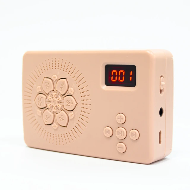 唸佛錢-南無大師遍照金剛《27.3mm、6.6G》 歷史價格詳細信息