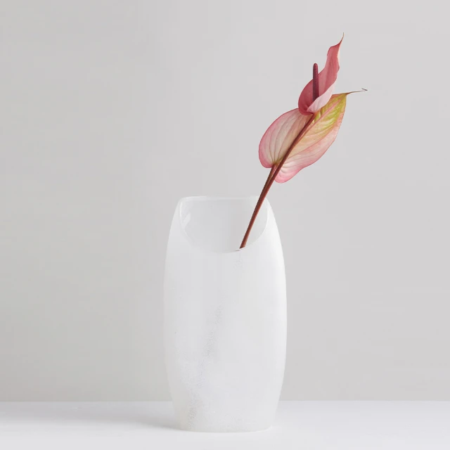 【3,co】曲線花器 - 黑 歷史價格詳細信息