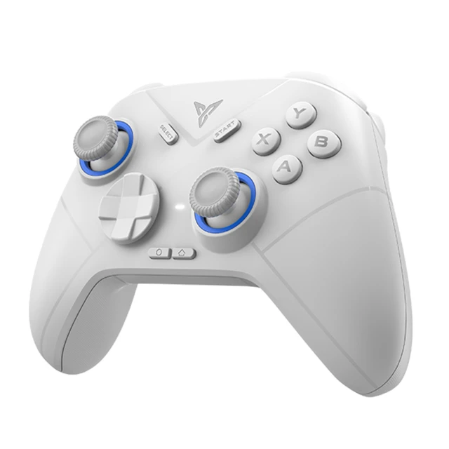 飛智冰原狼2代游戲手柄二代有線switch電腦版pc幻獸帕魯steam1代 歷史價格詳細信息