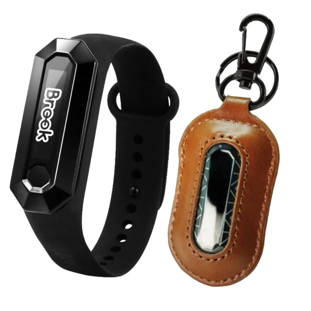 【Brook】自動抓寶手環Reviver plus(升級版Pokemon GO 防水防脫落 電池加大1.5倍 自動轉站 社群日) 歷史價格詳細信息